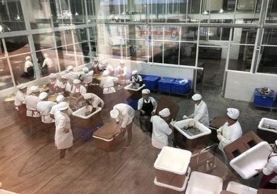 廣州番禺中央廚房集體配餐中心正式啟航，開啟餐飲管理新篇章